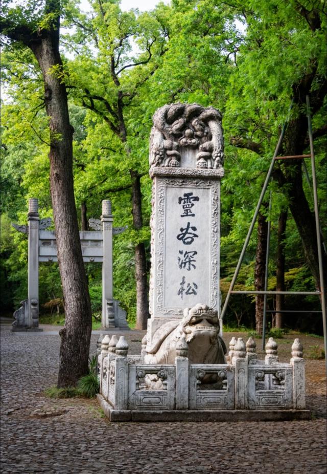 我是上海人，逛灵谷寺登松风阁，赏紫金山景还见百年老银杏树