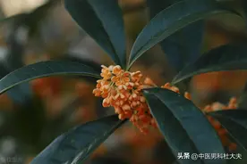 年少伤精过度，如今功能障碍，中医这样进补重回年轻时代图片