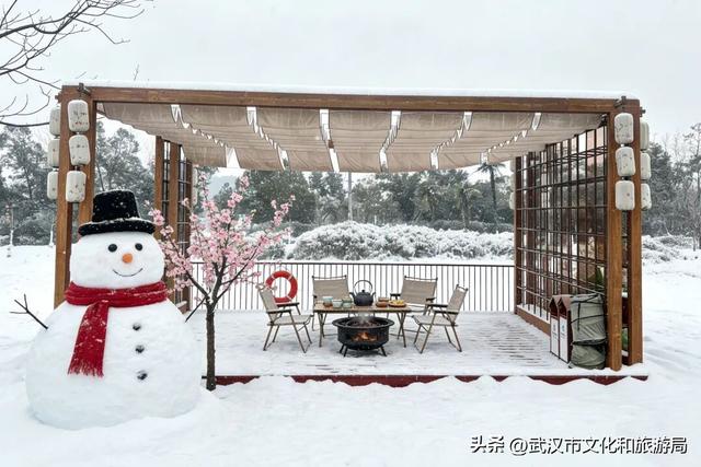 速看！蔡甸元旦跨年活动来了，迎接2026！