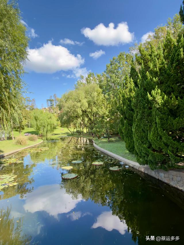 重阳节，上海赏秋之美