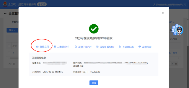 电子发票秒发客户：授权码终身设置指南（QQ/163/企业邮箱通用）