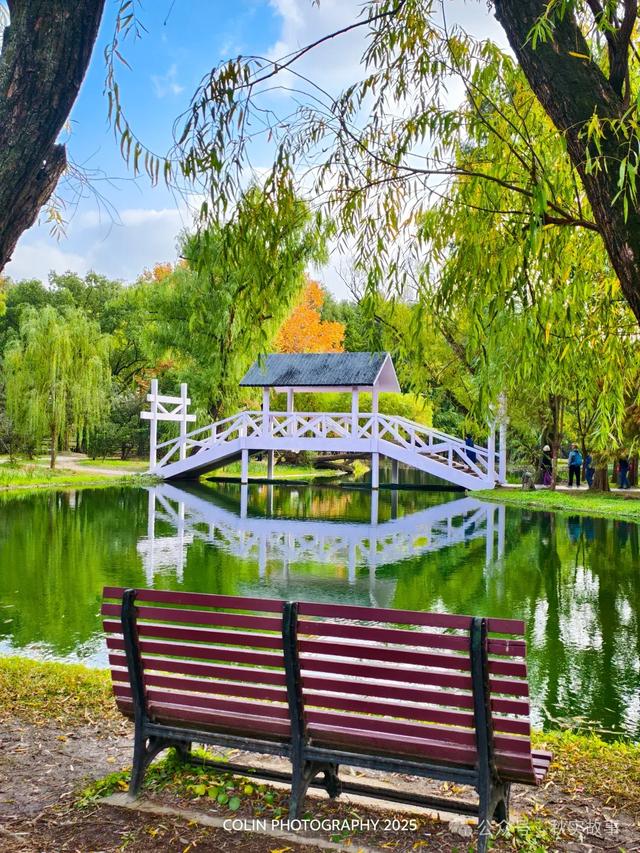 颜值巅峰的冬日秘境!上海共青森林公园,12月最值得去的免费公园