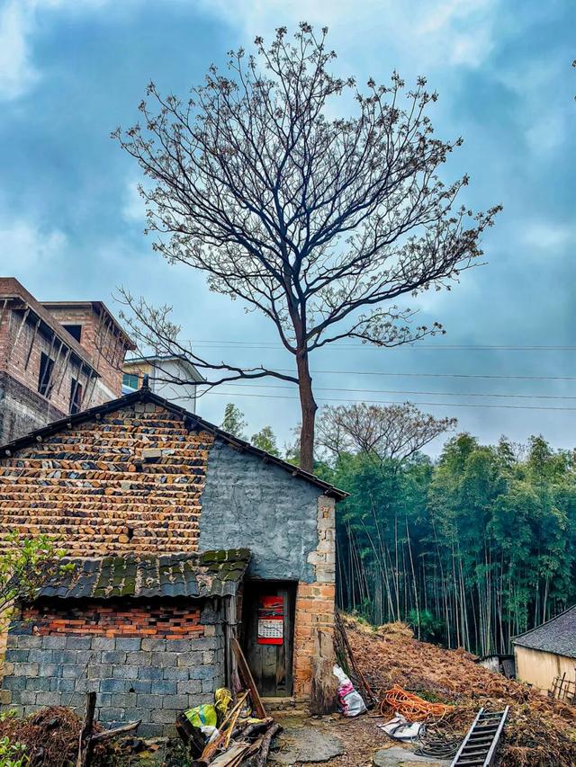 图说灌阳：山背后