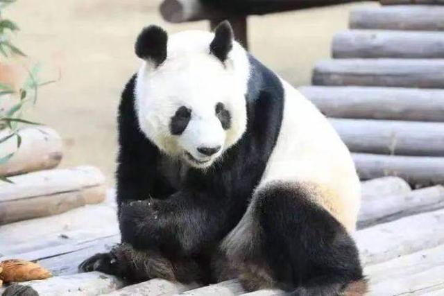 来鞍山过教师节！景区专属福利来啦