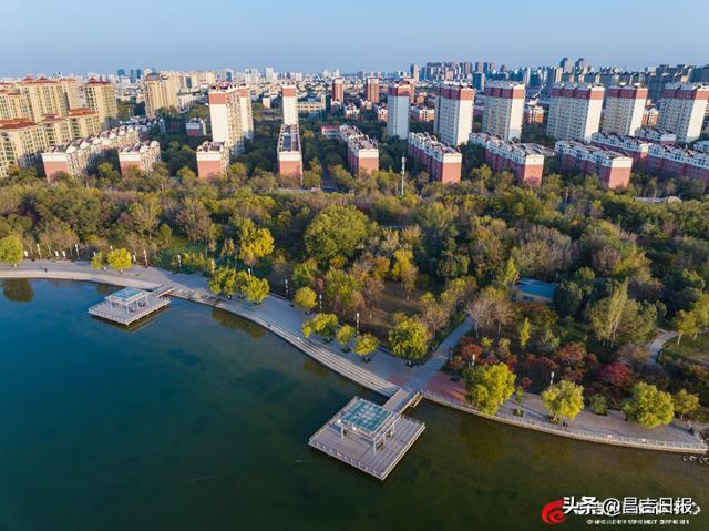 昌吉滨湖河中央公园：邂逅一场秋色绮梦