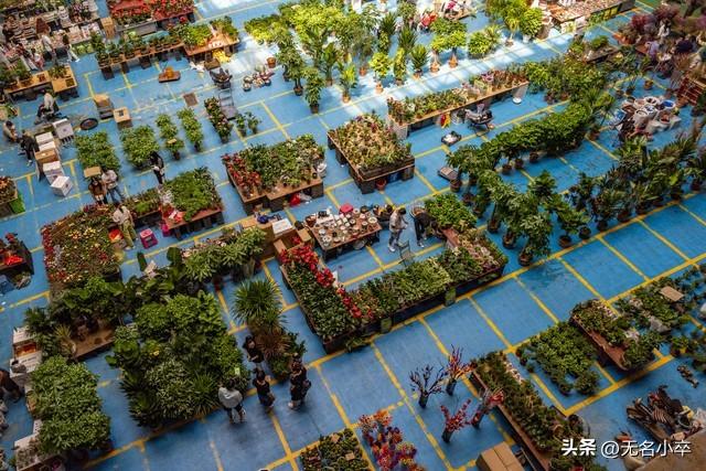 真的让人没想到，云南昆明这两个地方这么火爆还免费，游客这么多