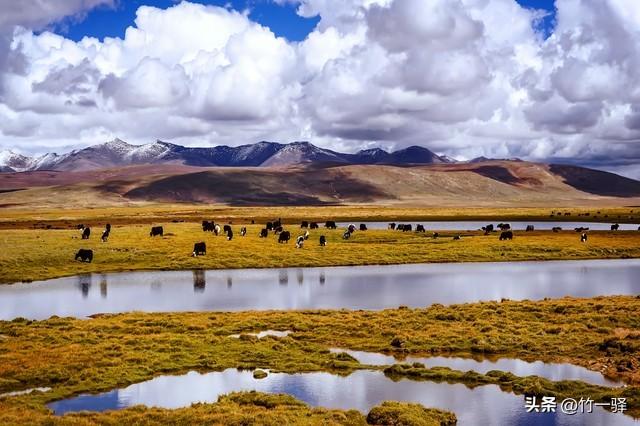 西藏嘎朗湿地：藏东南的隐秘莲花