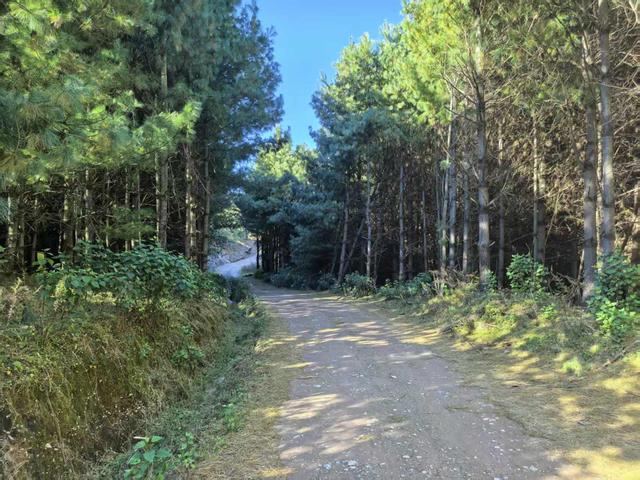 前往者摩山徒步