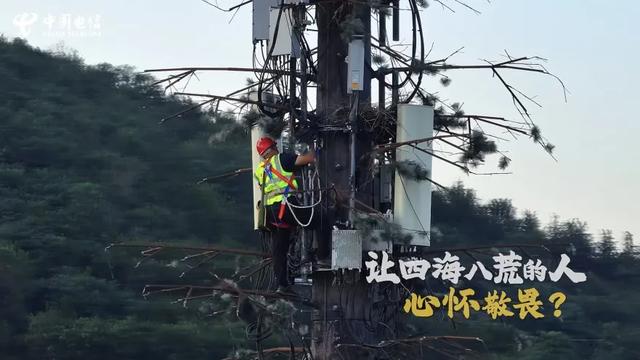 好客山东VS宠粉重庆:山高水长 云聚四方