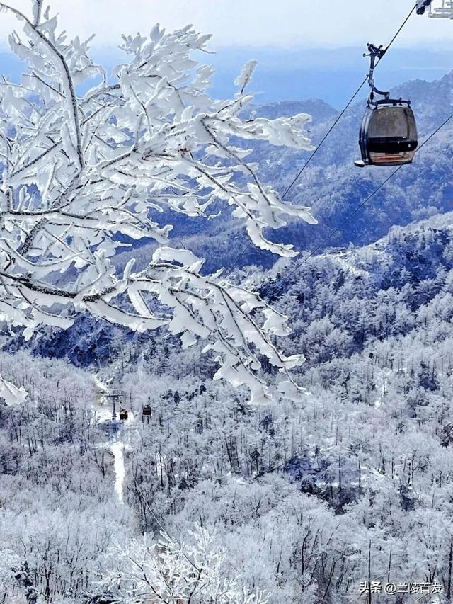 好客山东好品山东｜初雪来了！山东变山“冬”