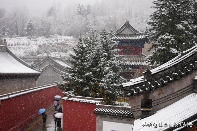 立冬节气 五台山景区初降瑞雪
