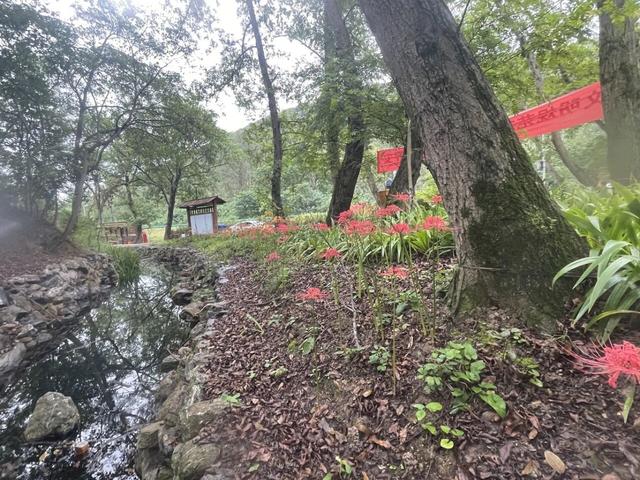 骑游滁州西神山寺森林公园花山风景线