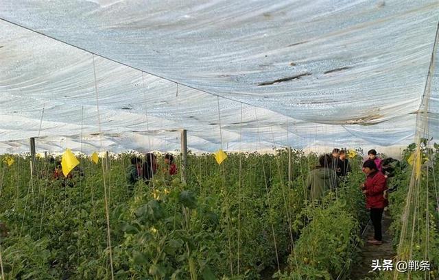 约么？邯郸这4条旅游线路被全省推荐！