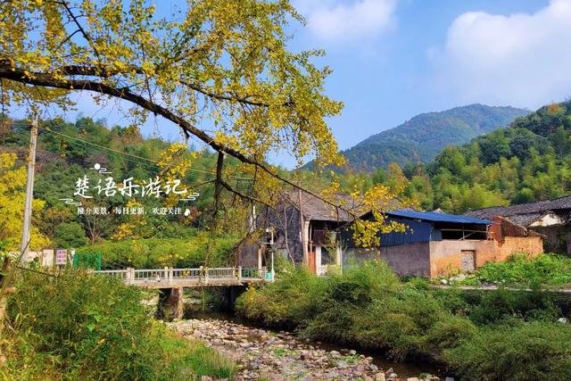 浙江宁波这两处银杏赏地比邻而居，又进入最佳观赏季，拍照很出片