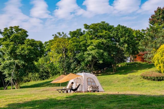 今日大雪 | 打卡这里,定格冬日专属美照
