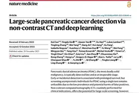 “平扫CT+AI”或将改变胰腺癌筛查诊疗指南 长海医院最新成果登上国际顶尖医学期刊图片