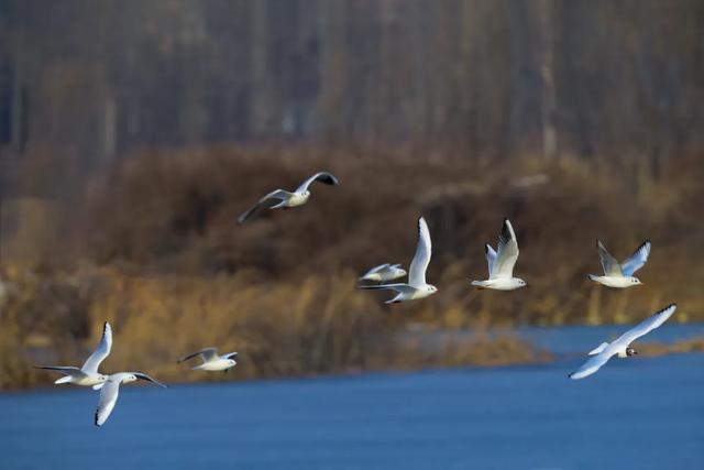 “中国最美县域”!长治沁源县上榜!