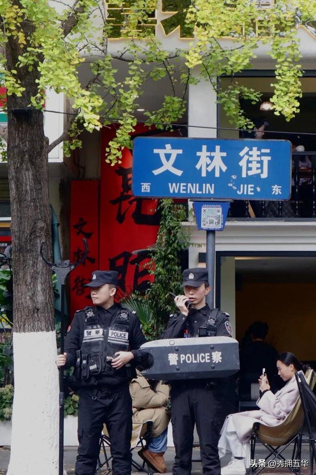 【警景相随.平安冬鸥】杏黄鸥舞待君来，平安守护提前行！