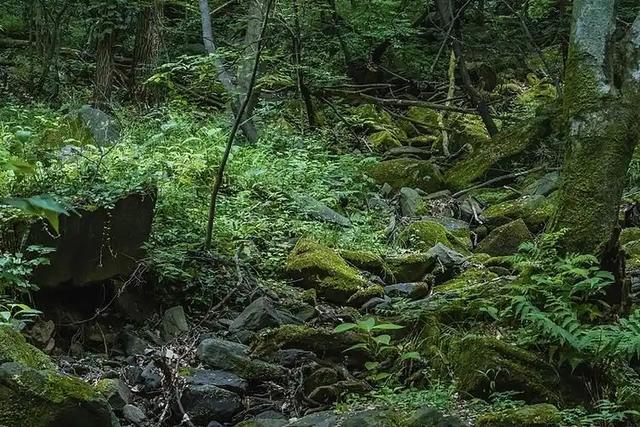 失联 5 人均已遇难！被曝死状惨烈，知情人曝真相，没一个值得同情