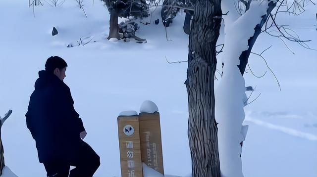 雪豹咬人真相澄清！央视断言：女子违规靠近雪豹，景区警告当摆设