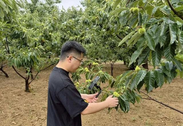 三好·唐山好网民丨高子博：从电商“弄潮儿”到助农“新标杆”