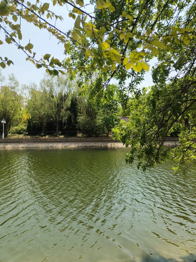 天津《复兴河公园》