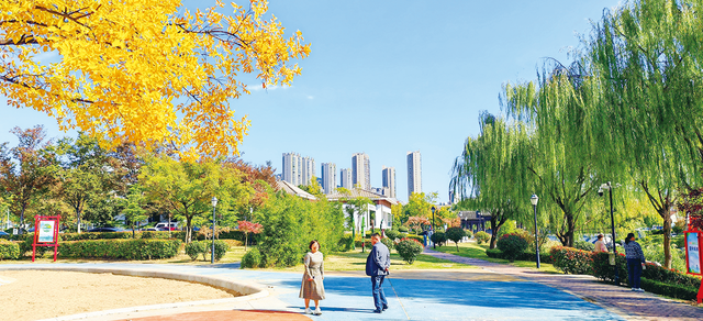 岚山初冬：山海间的斑斓与匠心