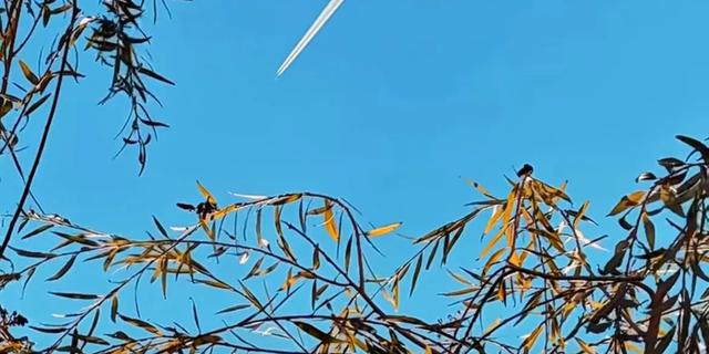 五十岁以后，不管你有多少存款，千万别做这5件糊涂事！