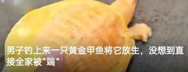 男子钓上来一条黄金甲鱼，将它放生，没想到黄金甲鱼接二连三的上