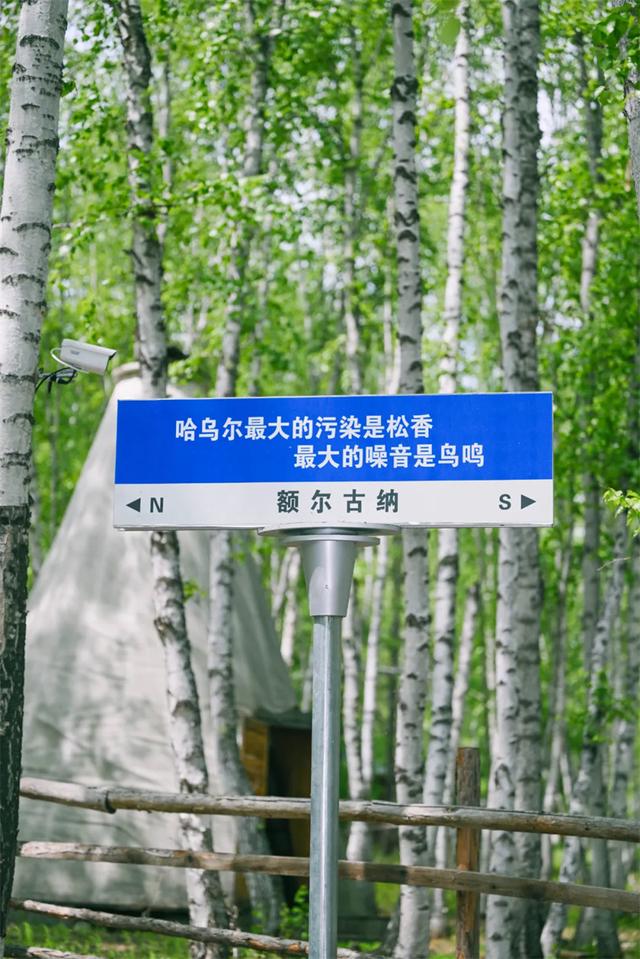 额尔古纳三大景区秋日特惠来袭，湿地与河流的秋日盛宴等你！