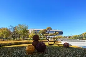 ​以“叶”织秋，这些就地取材的雕塑太浪漫！图片