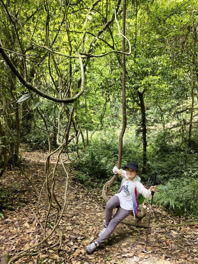 带小朋友去贵州茂兰，连环探洞加漏斗原始森林徒步二日游全攻略！