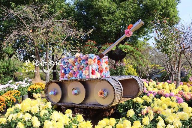 宁波这处风景进入最佳观赏季，秋菊叠影色彩缤纷，堪称秋日盛宴