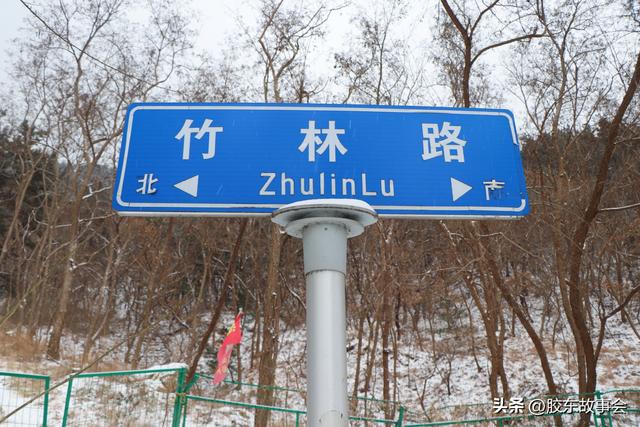 随手拍：打卡雪后的烟台“竹林路”