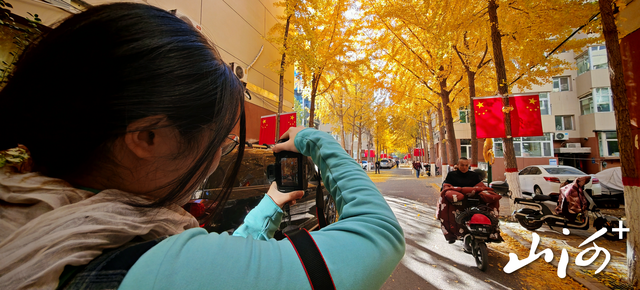 “银杏巷”成“秋日限定”打卡地 太原老军营小区深处藏满城温柔