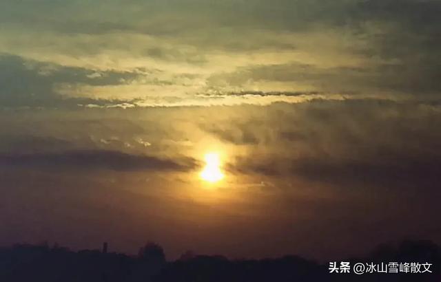 【随笔】与衡水湖对坐