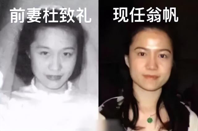 知情人曝杨振宁离世前状况，摔跤或是罪魁祸首，翁帆疑似早有察觉