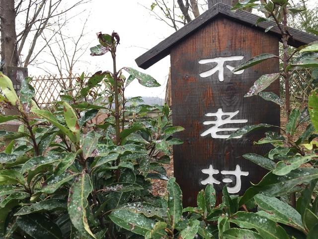 逃离都市热浪！南京老山森林公园超全攻略，承包你一日清凉与野趣