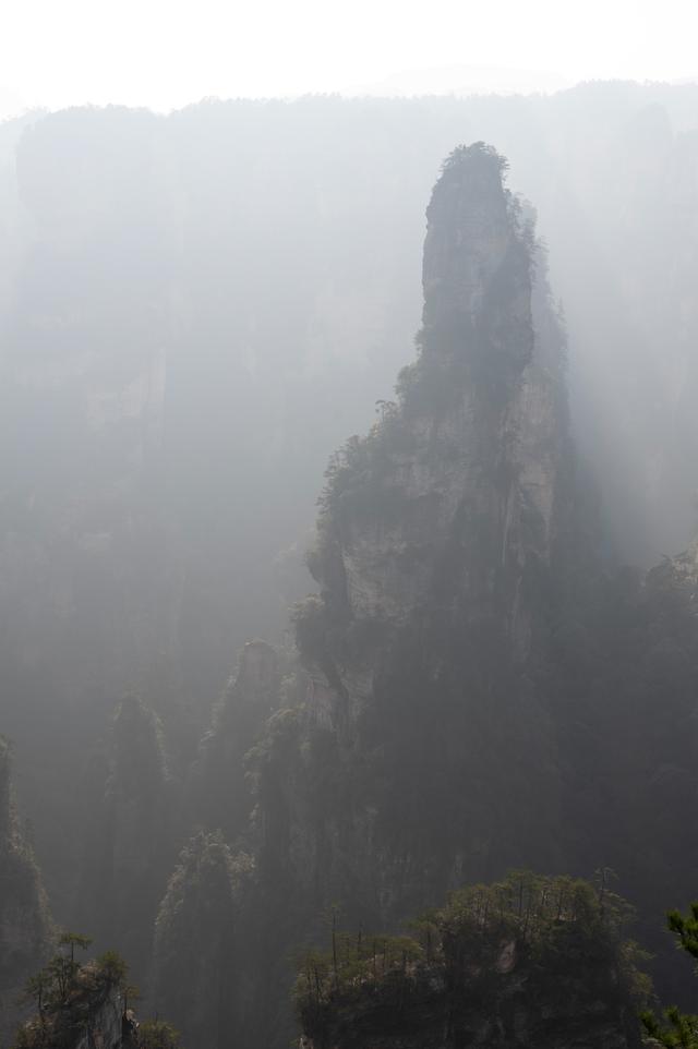 张家界国家森林公园——天地有大美而不言