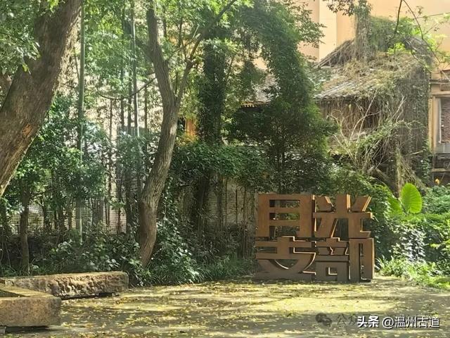 温州这个古镇不仅山水环绕、人文荟萃，更有着丰富的红色文化资源