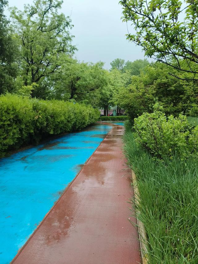 天津雨中的《红光公园》