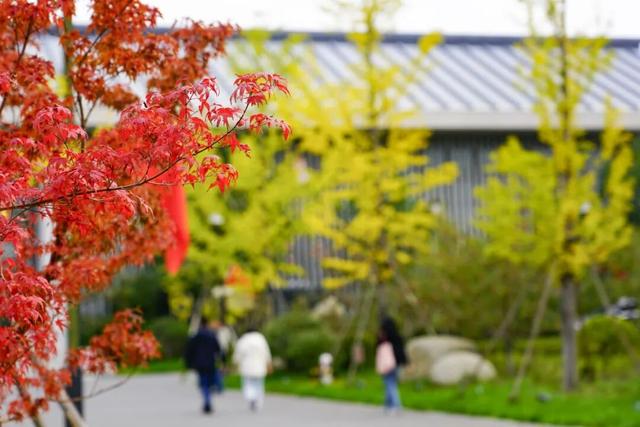 青州这些景致，藏着最动人的温柔