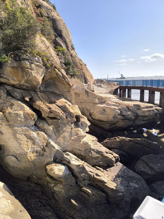 去羊山岛看什么？