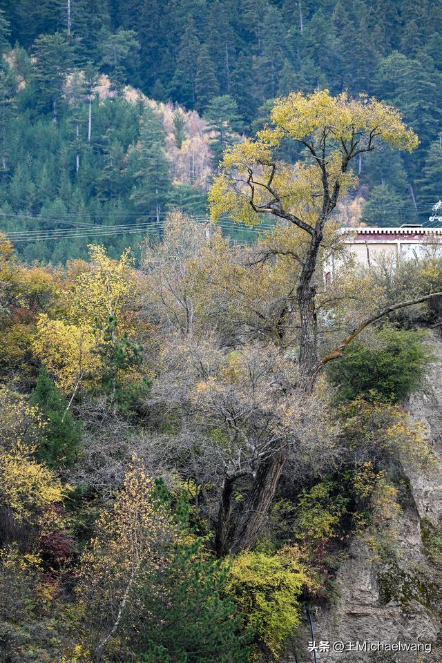 古意秋风三万里（D30）-从迭部到松潘