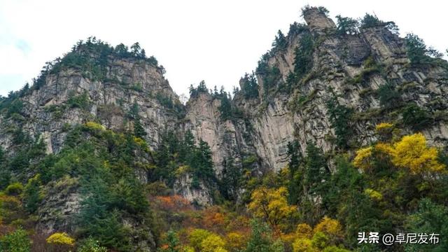 康多峡秋景：一场不可错过的视觉盛宴