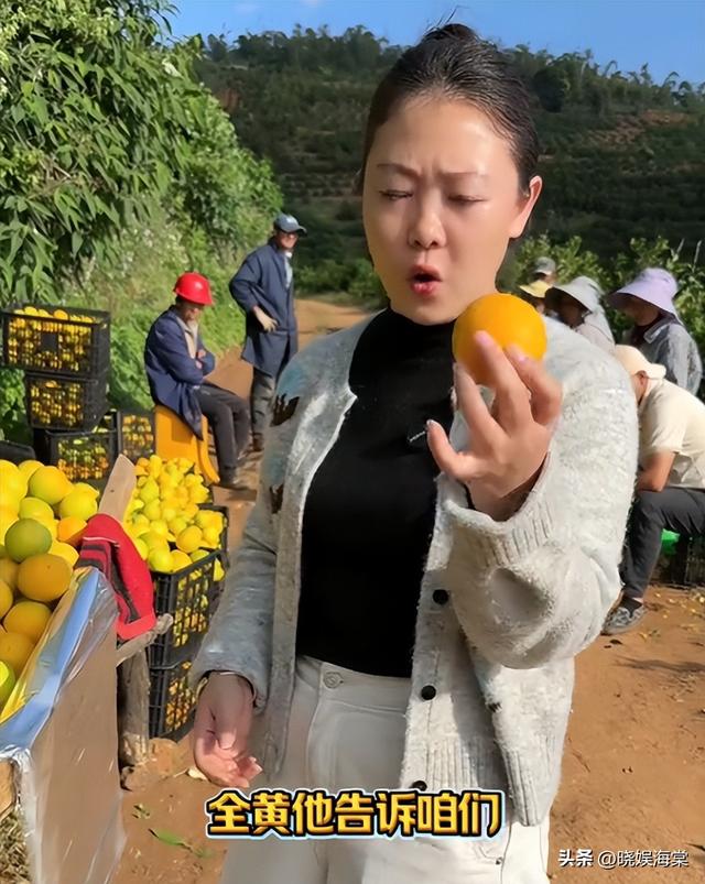 收冰糖橙被骗后续：坑人代办身份被扒，正面照曝光，官方通报来了