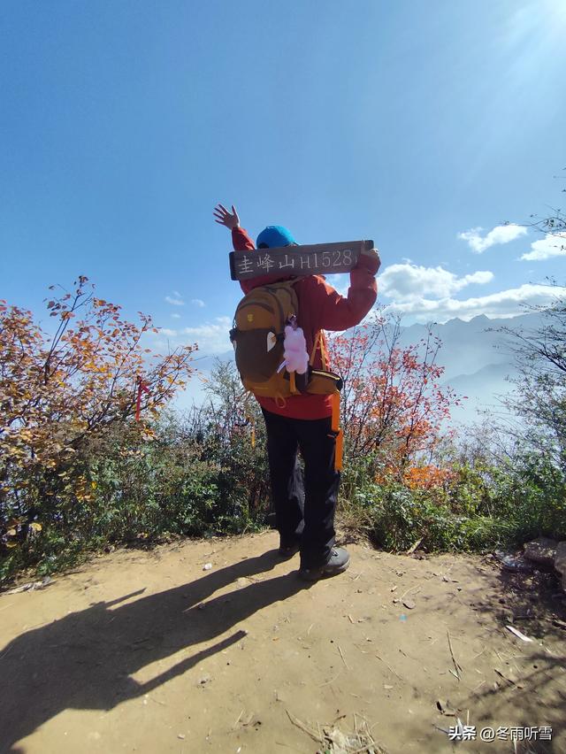 又见山山红叶飞