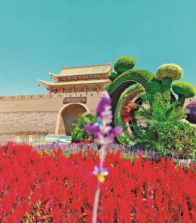 花样盛景 迎接八方来客