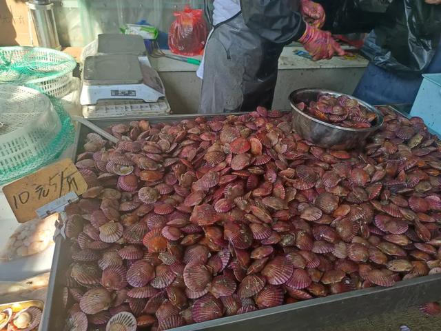 入冬后,扇贝大量上市,为啥便宜不好卖?内行:4个原因,很现实