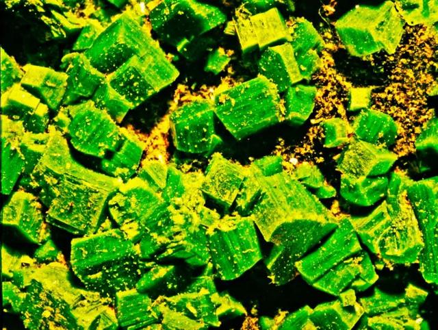 世界首次攻坚！中国武威钍熔盐堆完成燃料转换，领跑第四代核电